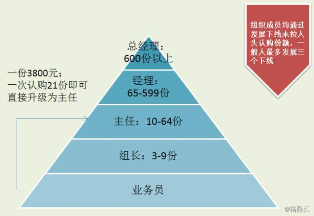 三门峡资本运作骗局图图片